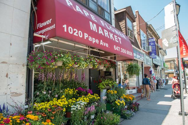 Just two blocks east are 2 variety stores, Karlovo s Butcher and Deli, Corrado Pizza, Sophie s Grill, The Up Town Wine Bar, along with a hair salon and a pre-school learning