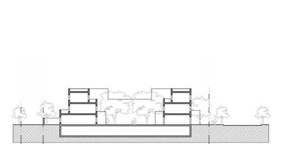 Section Configuration Diagram: Subterranean Parking Below: Examples of allowed courtyard housing site configurations Single Court