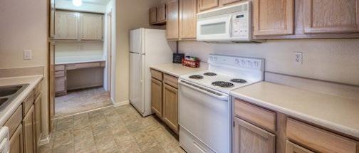 units Install tile backsplash in all units Upgrade bathrooms consistent with kitchen upgrades Moderate fitness center upgrades Install dog park on south side of property Updated cabinetry Stainless
