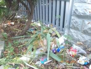 Evaluation Measures Curb Appeal Trash,