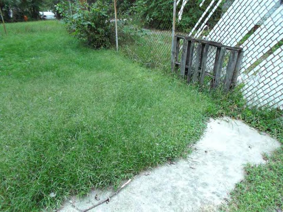 The backyard s grass is completely overgrown, with overgrown shrubbery along the fence