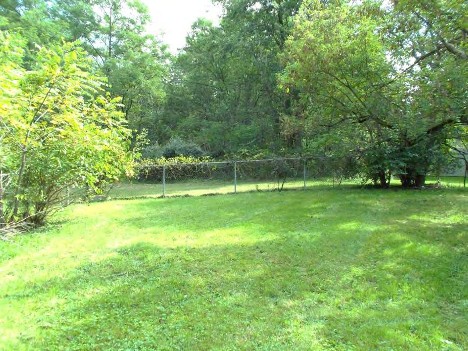 The backyard is mowed and there are no invasive plants or overgrown weeds or shrubs.