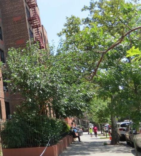 INVESTMENT HIGHLIGHTS Neighborhood of East Flatbush, situated on East 94 th Street, in Brooklyn, New York 6-story elevator building consisting of 83 apartments and a 10-car indoor garage.