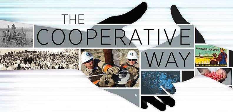 Alternative Co-operatives Business co-operatives in other sectors are encourage by government as an alternate to the formation of companies or other forms as its it part of the strategy to:
