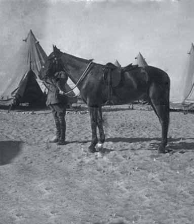1908 Sandy, the only horse to return from overseas, is thought to be buried on the site. 1922 Pre-1830 s wurrung country of the Woi Wurrung people.
