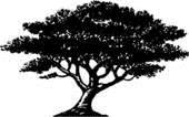 Trees, p. 758 (not assigned) a one in every crowd case i.e., the