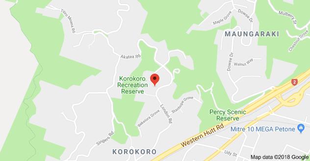LOCALITY The property under review is situated on the southern side of London Road Korokoro Lower Hutt. Korokoro is the residential suburb at the southern end of the western hills, above Petone.