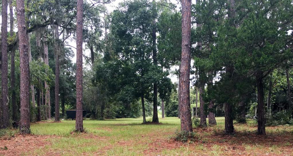 COLDWELL BANKER COMMERCIAL SAUNDERS REAL ESTATE SPECIFICATIONS & FEATURES Acreage: 10,779 +/- acres Sale Price: $25,000,000 Permitted Lots: 14,750 Price per Lot: $1,695 County: Camden County, Georgia