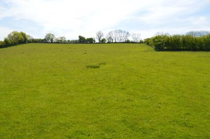 25 acres of pasture land, available as a whole with farm buildings and a four bedroom dwelling in need of renovation.