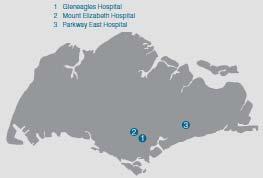 revenue 2 Gleneagles Hospital Mount Elizabeth Hospital