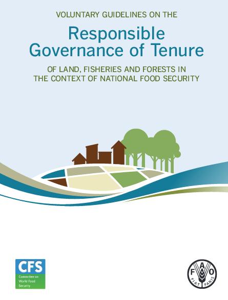 The guidelines underline different kinds of Tenure and the rights, responsibilities and restrictions TUM LM Chair has