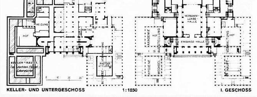 Picture 3: Floorplan: cellar and first