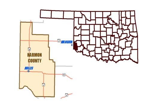 County: Assessor / Office Information Harmon Assessor: Kendra Tillman Year appointed: N/A Year elected: 214 Years as Assr: 3.