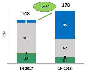 Target 2018 : 925 Rai 62% 64% Land Transfer (Rai) Land Presale (Rai) 803 623 1H-2017