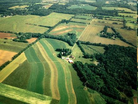 Farmland Protection Program Purpose - maintain land in agricultural use Government pays half the cost of