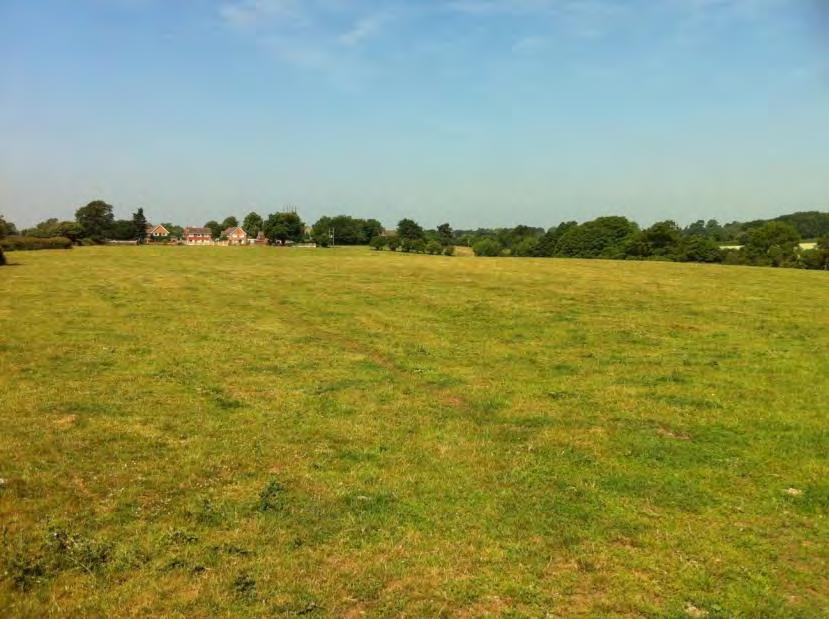 Agricultural Land To Let on a 5 Year Farm Business Tenancy Land at the Moors, Seighford, Staffordshire, ST18 9LQ Extending in total to 85.23 ha (210.60 acres).