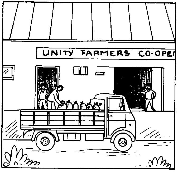 Like most marketing co-operatives, Unity had problems with the timing of the cash flow. When a farmer delivered some produce, he wanted his payment immediately.
