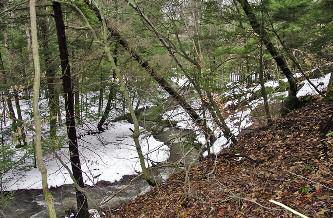 Sugar Hill, part of the Six Nations Forest, is located in Schuyler County.