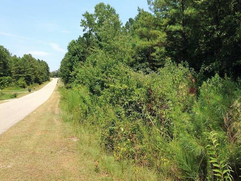 OVERVIEW: Large 1.5 +/- acre lot 26 for sale located in Senter Hills subdivision in Harnett County, NC.