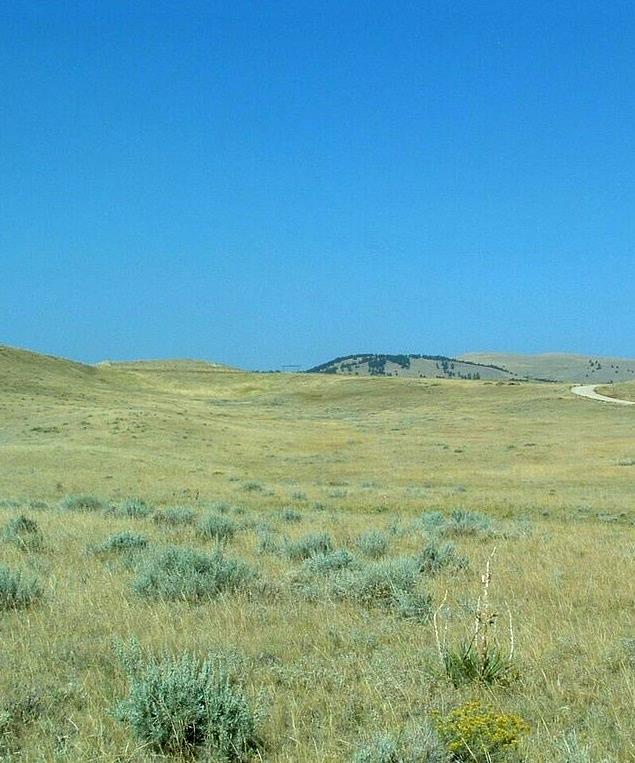 Maverick Trail Acreage Johnson County, Wyoming Easy accessibility and great views make this