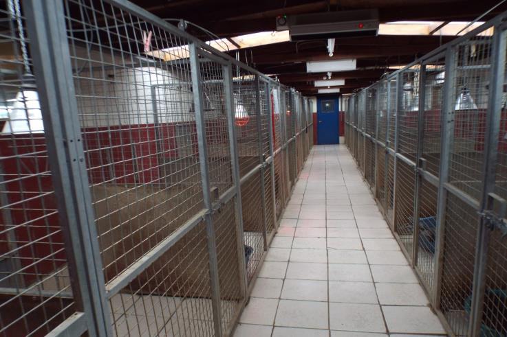 THE BUSINESSES The kennels and cattery operate from a superbly fitted purpose built premises which have been extensively improved by the current owners.