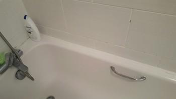 Main Bath/Shower Room (continued)