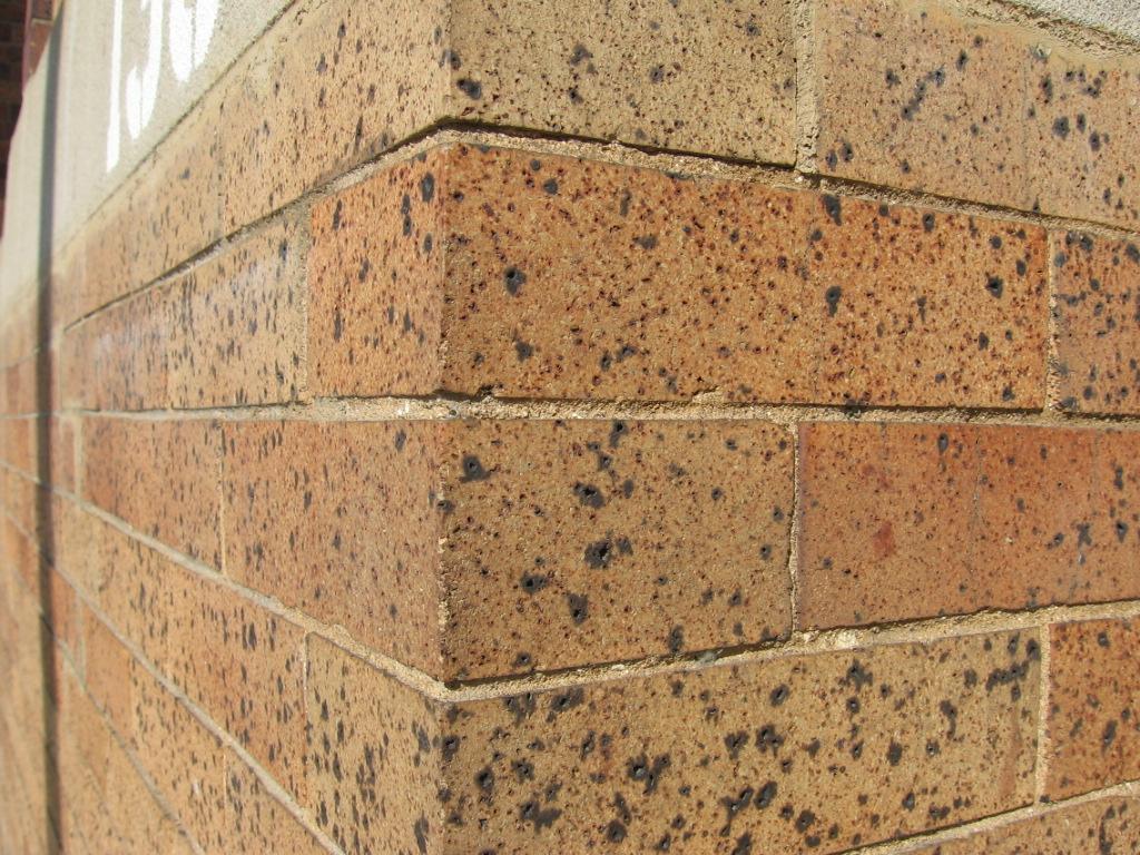 Variegated buff face brick utilized in subject