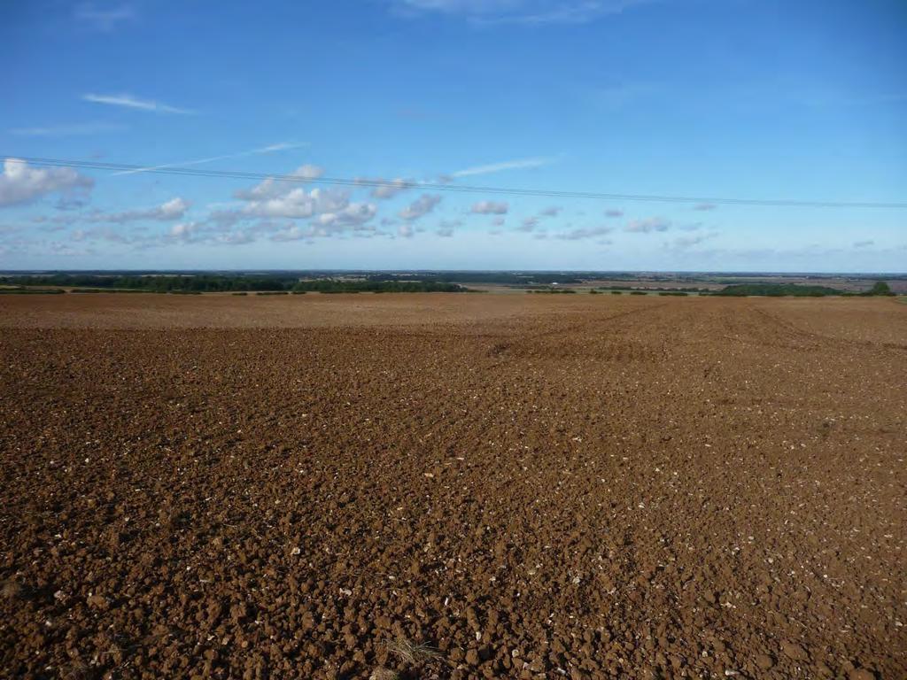Arable Land at Rigsby Near Alford, Lincolnshire, LN13 0AL AGENT S COMMENTS This is a rare opportunity to acquire a large block of highly productive arable land all within a ring-fence at Rigsby