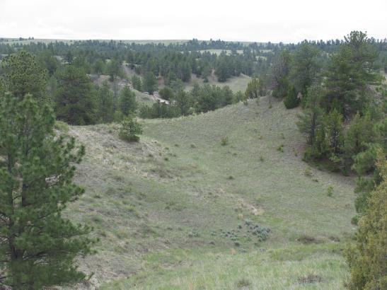 Size 2,782 Acres Deeded 40 Acres BLM Lease 2,822 Acres Total Description of the Ranch The Cundall Family Ranch is an all deeded contiguous property.