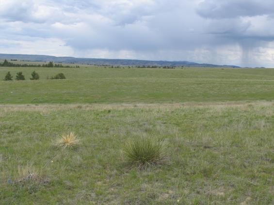 Offering Details The Cundall Family Ranch is being offered