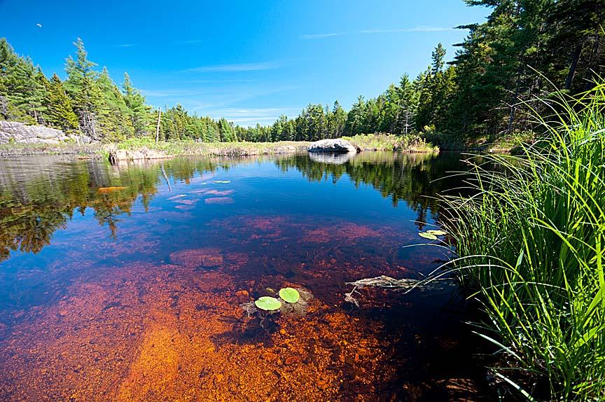 advocacy organizations and includes all the major players in forestland conservation, such as The Nature Conservancy, the Forest Society of Maine and the Trust for Public Land.
