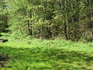 37811 NE 17TH ST Washougal 98671 $150,000 ML#: 16344585 Status: ACT PTax/Yr: $1,726.94 Unit/Lot #: # Lots: 1 Acres: 5 Zoning: R-5 Wtr Frnt: Area: 31 Lot Size: 5-6.