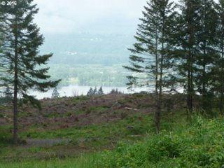 Property sits across from the Lewis River. 1 Little Kalama River RD Woodland 98674 $125,000 ML#: 16190152 Status: ACT PTax/Yr: $227.64 Unit/Lot #: # Lots: 8 Acres: 8.