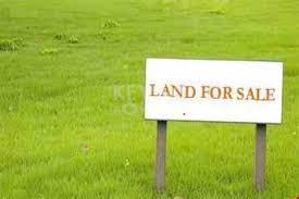 land Why land