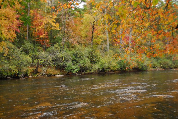 A conservation easement covering a 100-acre tract on the Toccoa River protects habitat in the Toccoa River watershed, a high biodiversity area that harbors 69 species of special concern.