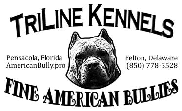 AMERICAN BULLY BUYER S AGREEMENT This agreement (AGREEMENT) is entered into as of ("EFFECTIVE DATE") by and between ("SELLER") and ("BUYER NAME") ("BUYER STREET") ("BUYER CITY") ("BUYER STATE")
