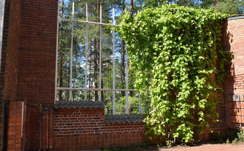 Fig. 12. Alvar Aalto, courtyard window framing the view of the lake, Experimental House, Muuratsalo, Finland, 1952 of his architectural thinking.