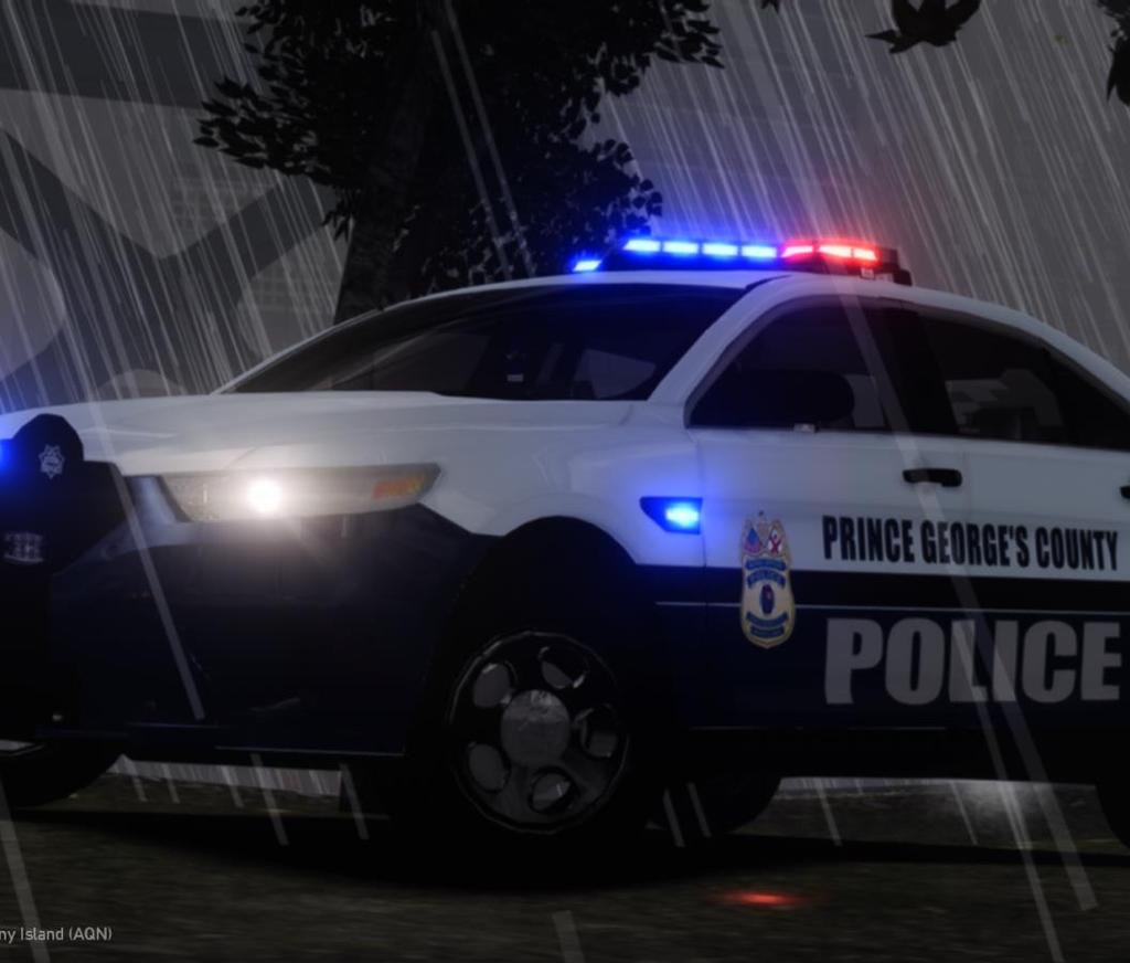 REGIONALIZED POLICING: PRINCE GEORGE S COUNTY POLICE Soon to be 7 Patrol Districts, 11 sectors and over 60 beats Centralized Criminal Investigation Division, Homicide, Robbery, Rape, Auto Theft,