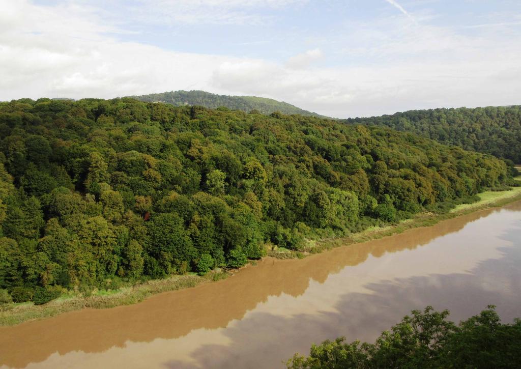 PIERCEFIELD WOOD Chepstow, Monmouthshire 81.65 Hectares / 201.