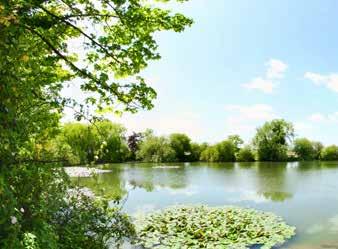 TAYLOR WIMPEY Parklands Perfectly located, beautifully designed nestling in a picturesque lakeside setting just a mile from the centre of Woburn Sands, Parklands is the perfect new community for