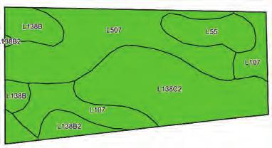 consists of 24.03 acres m/l with approximately 23 tillable acres with a CSR2 of 86.2. Primary soil types include Clarion Loam, Webster Clay Loam, Nicollet Loam, and Canisteo Clay Loam.