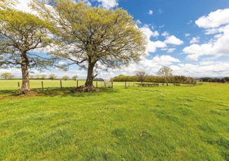 Farmland Lot 1 extends to about 139.4 acres in total and comprises 128.2 acres of ploughable pasture, 3 acres of woodland and the remainder being buildings, yard, roads etc.