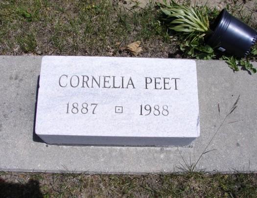 , MI, 1 Jun 1880 See father Kosciusko P. Pete for census details. * Luana Amaret "Retta" Peet and Mr. Lee were married. Mr. Lee was born (date unknown). 15. * C.D.