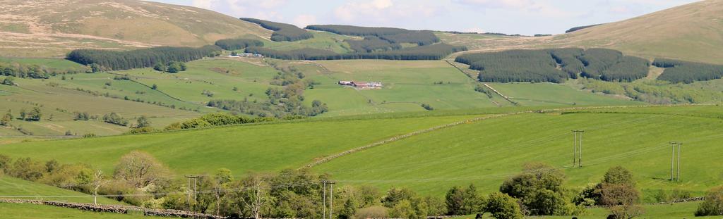 Land The land at Burnton extends to 383.18 acres (155.07 ha) in total. The land lies predominantly within a ring fence but is bisected by the A76 with 30.91 acres (12.5 ha) to the north.
