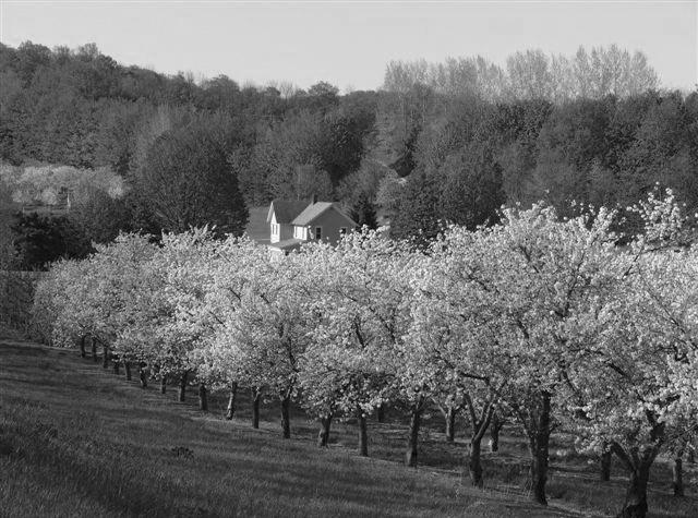 Farmland Program Leelanau County is home to a unique agricultural resource and contains some of the best orchard land in the world.