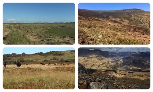 3.0 BACKGROUND - THE COMMON LANDS OF WALES Common land within Wales is widely distributed from coastal sand dune to upland heaths, estuarine salt marshes to extensive peat bogs.
