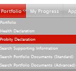 Once you have made your self declaration, click the Add to Portfolio button at the bottom right hand corner of the screen.