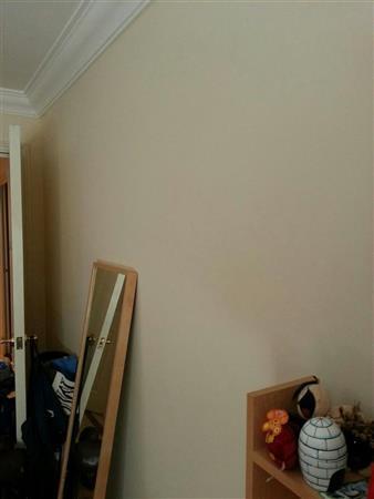 Walls and skirting boards (Bedroom) 5 Elstree Way,