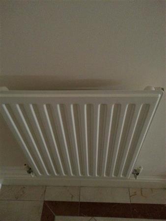 13:10:31 GMT Heating (Hallway) White radiator.