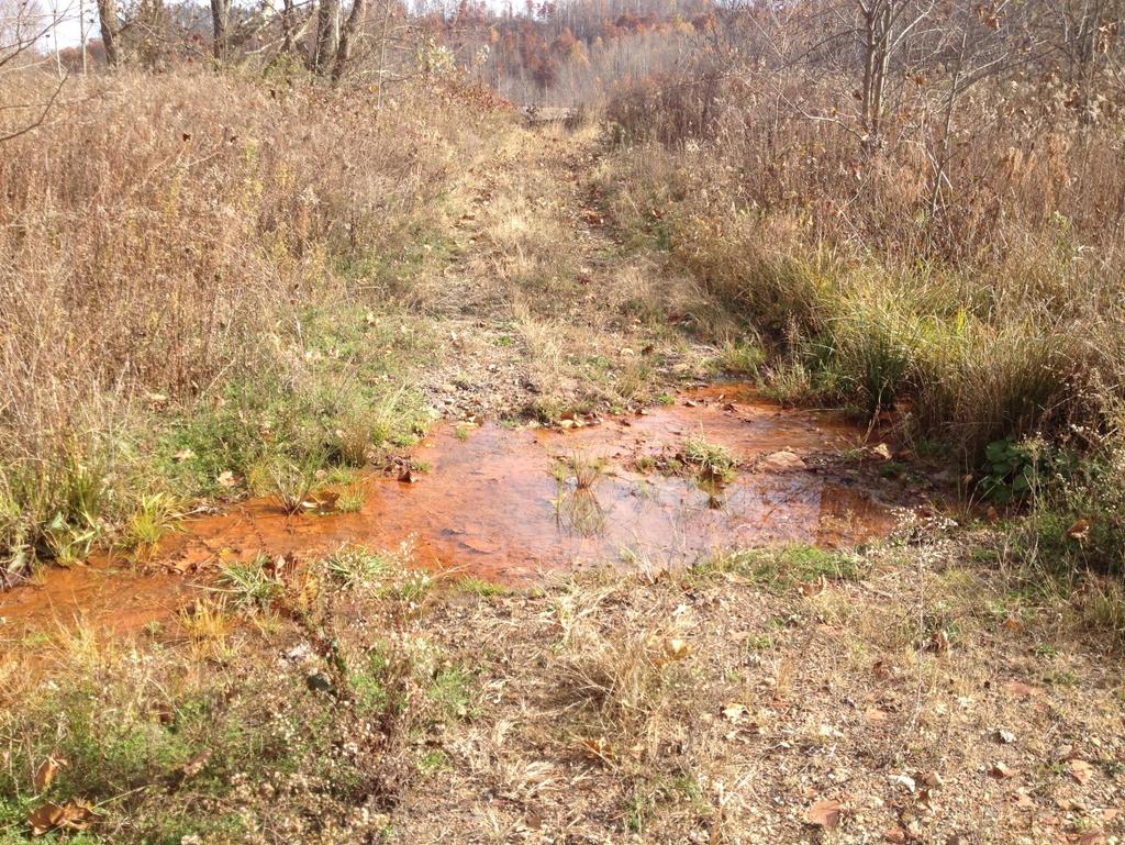 Photograph 9: Drainage swale along the northern property line Photograph 10:
